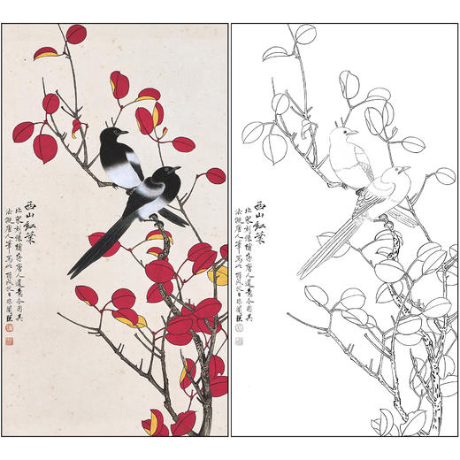 工笔画白描底稿于非闇花鸟《西山红叶》临摹勾线高清打印稿FA44 商品图0