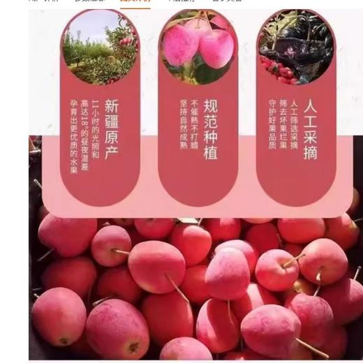 香槟果（约500G） /份 商品图1