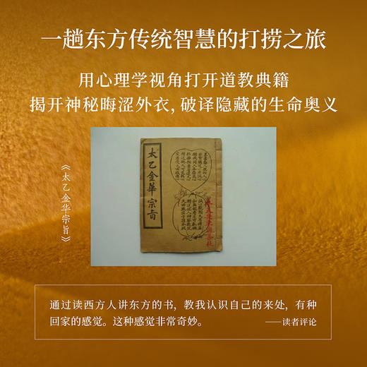 金花的秘密（全新修订升级！心理学大师荣格经典之作，西方心理学对话东方古典智慧） 商品图2