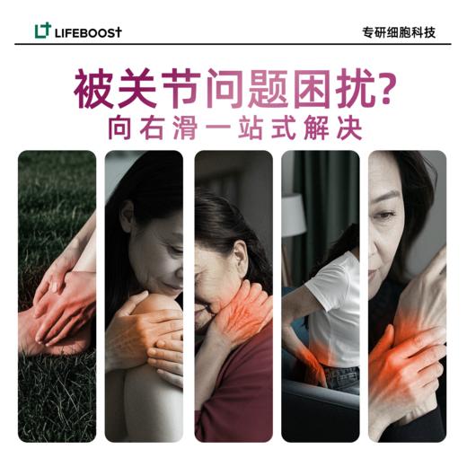 LifeBoost氨糖软骨素胶囊女性专研 立丰活新加坡原装进口 90粒/瓶GH 商品图2