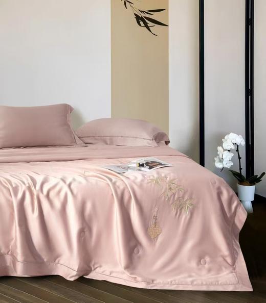 CP竹纤维金蚕丝抗菌夏凉被25218 商品图5