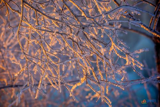 G331中蒙俄边境大环线15天 ：冰雪阿尔山～呼伦贝尔～满洲里～北极村～大兴安岭～扎龙丹顶鹤 商品图5