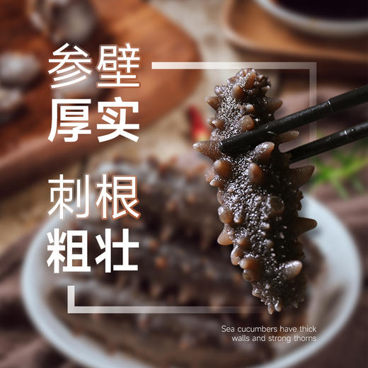 中国农垦-鲜食海参 商品图3