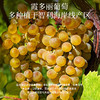 晚歌·卡尔利特斯白葡萄酒 商品缩略图2