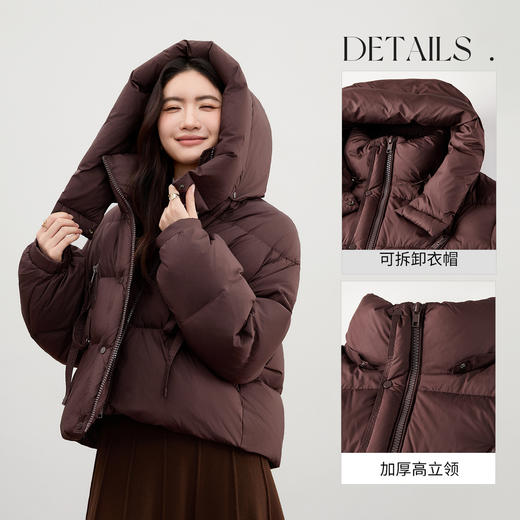 【内购】【90%白鸭绒】小个子通勤高立领连帽拉链蓬松保暖不臃肿短羽绒服-W54YE2035 商品图3