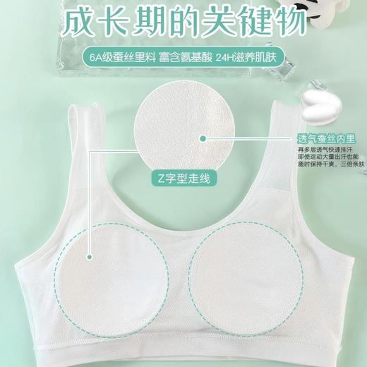 治愈小白狗柔柔衣二阶段小凉风网孔系列背心款108#2件装专为成长期少女定制 商品图4