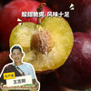 生态红脆李  | 合作生产*  Ecological Red crispy plum | Coprodution 商品缩略图0