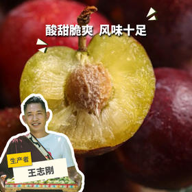 生态红脆李  | 合作生产*  Ecological Red crispy plum | Coprodution