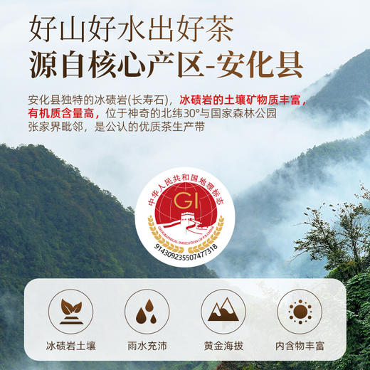 茶马世家安化黑茶 正品湖南茯茶手工金花茯砖茶天尖茶砖930g 商品图1