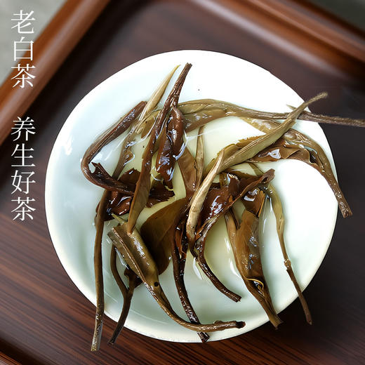 云南古树白茶月光白散茶叶白毫银针2025春茶500g批发 商品图4