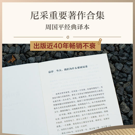 教育何为？（学者周国平译自德语原文，译文生动流畅，更附长文导读解析，充分呈现尼采思想闪光点。） 商品图2