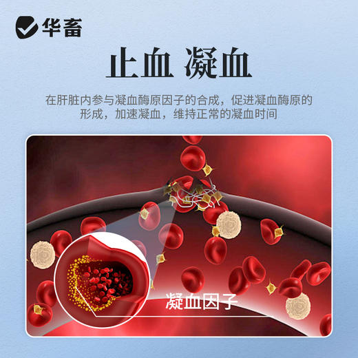 【积分兑换】华畜水产用出血宁草鱼鲫鱼鮰鱼虾蟹 出血 败血通用 商品图2