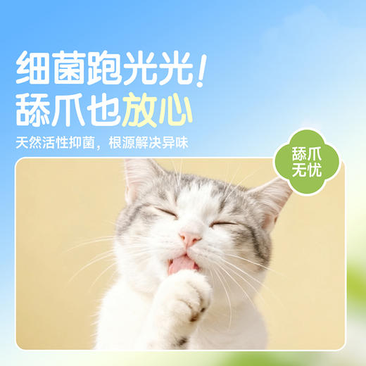 【特惠专享】囧宝 水香花系列 庭院栀子木薯混合豆腐猫砂 除臭去尿味 2.5kg/包 商品图5