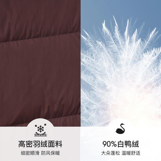 【内购】【90%白鸭绒】小个子通勤高立领连帽拉链蓬松保暖不臃肿短羽绒服-W54YE2035 商品图4