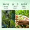 正山堂骏眉中国 茉莉祁红祁门红茶香螺 正宗安徽高香茶叶罐装送礼 商品缩略图5
