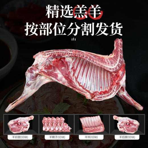 严选 | 大黄鲜森 半只羊10斤礼盒装 羊排块2.5斤+羊前腿2.5斤+羊后腿2斤+羊蝎子3斤 商品图4