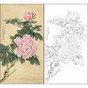工笔画白描底稿于非闇花鸟《牡丹》临摹勾线高清打印稿FA38 商品缩略图0