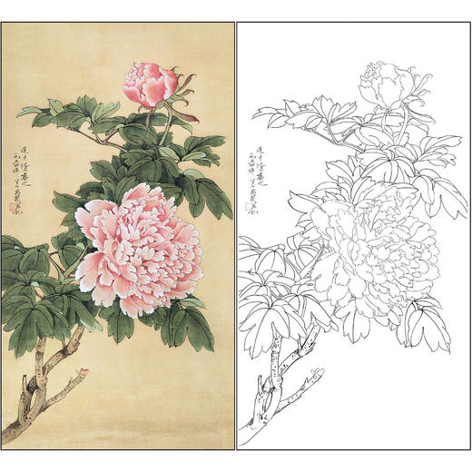 工笔画白描底稿于非闇花鸟《牡丹》临摹勾线高清打印稿FA38 商品图0