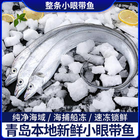 【生鲜专区】整条精品带鱼 渤海湾小眼带鱼 一条约200-300克 每条都是单独包装 五条约3斤八条约5斤(约2200-2500克) 顺丰/京东包邮{冷冻生鲜请及时签收 冷冻保存}