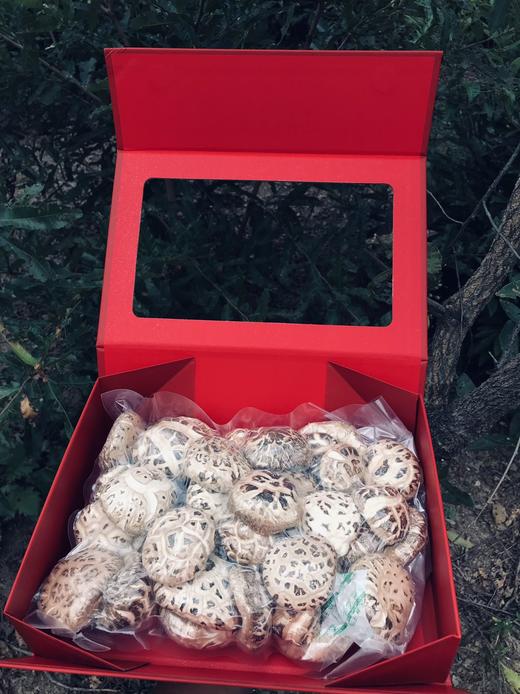 山珍菌礼盒 商品图4