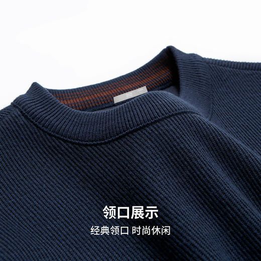 【含绵羊毛】圣得西男士2025秋季新款休闲百搭素雅绒感圆领毛衣 商品图6