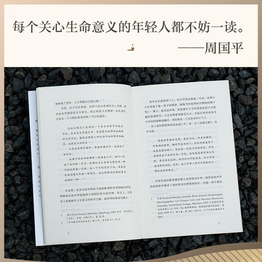 我的哲学之师叔本华（30岁尼采的自勉之书，追问哲学与人生、哲学与时代的关系，热情、饱满、有力，在尼采所有著作中独树一帜。） 商品图4