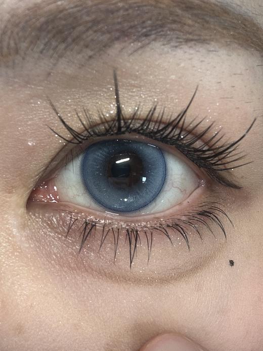 Kikicon旗下 ·月桂石英&奶盐蓝莓  14.2mm白狮参考着色中大直径｜月抛2片 商品图8