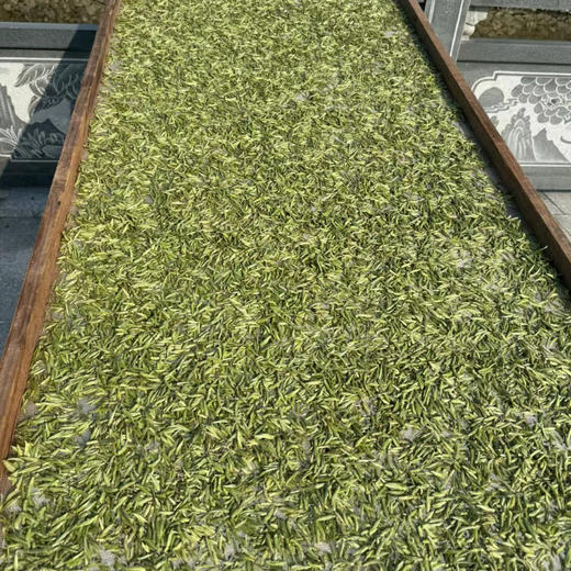 【凤品优选】九鲤禅茶 高山白茶 寿眉 入口清甜 四季皆宜 自种茶园  传统工艺自制 自种 日晒白茶 商品图2