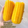 2025年头茬大丰收‼️来自东北的榛纯玉米🌽 又甜又糯🔴东北黑土地种植出的优质玉米🈚️添加剂袋煮20分钟即可食用🧡 商品缩略图1