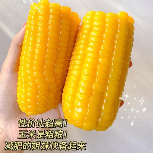 2025年头茬大丰收‼️来自东北的榛纯玉米🌽 又甜又糯🔴东北黑土地种植出的优质玉米🈚️添加剂袋煮20分钟即可食用🧡 商品图1