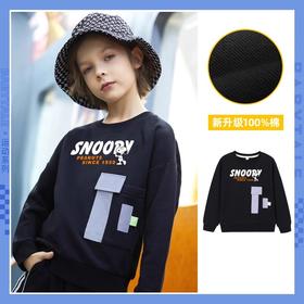 男童卫衣春秋款2024新款儿童秋款潮款洋气中大童秋装男孩秋季上衣