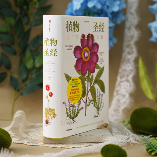 《植物圣经：欧洲传奇花园艾希施泰特花园图谱》植物科普手绘画册-分销 商品图8
