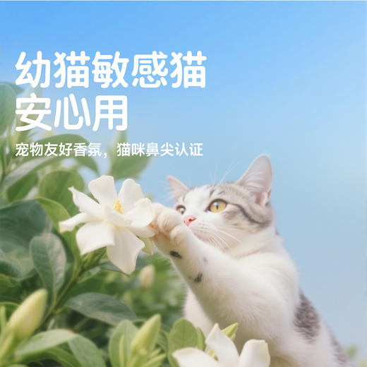 【特惠专享】囧宝 水香花系列 庭院栀子木薯混合豆腐猫砂 除臭去尿味 2.5kg/包 商品图4