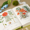 《植物圣经：欧洲传奇花园艾希施泰特花园图谱》植物科普手绘画册-分销 商品缩略图4
