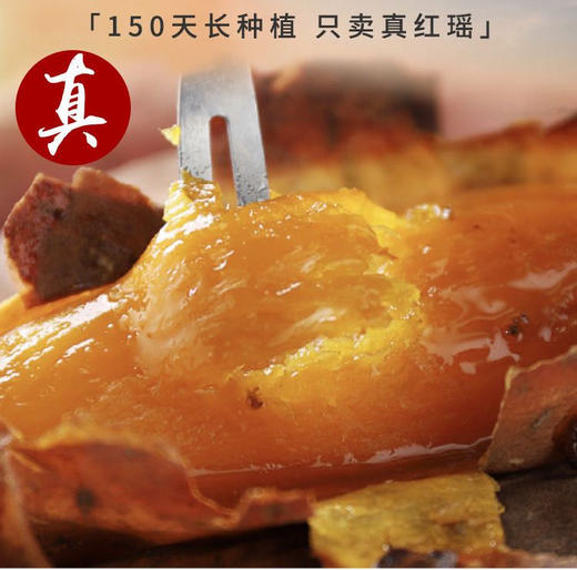 25年宁河红瑶甘薯 商品图11