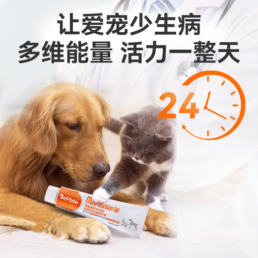 BeMate倍美特 多维营养膏 （犬猫通用 ）120g/ 支   美毛强体双滋养 吃出好身体   原料组成 ：鱼油，葡萄糖等 商品图3