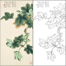 工笔画白描底稿于非闇花鸟《青蝉碧梧》临摹勾线高清打印稿FA34