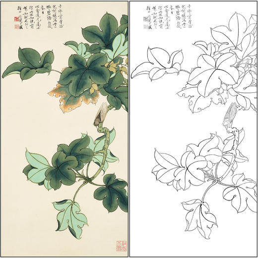 工笔画白描底稿于非闇花鸟《青蝉碧梧》临摹勾线高清打印稿FA34 商品图0