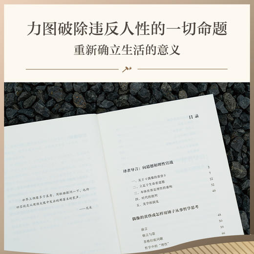 偶像的黄昏或怎样用锤子从事哲学思考（学者周国平译自德语原文，译文生动流畅，更附长文导读解析，充分呈现尼采思想闪光点。） 商品图3