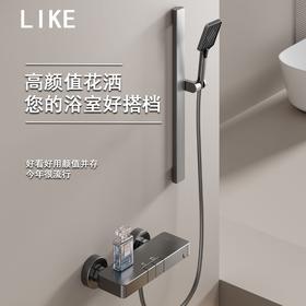 6069杰里两档按键花洒-枪灰