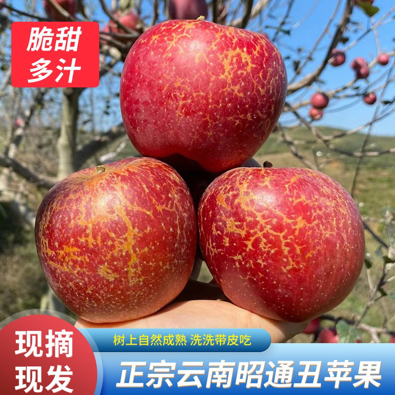 云南昭通市丑苹果3.5斤/5斤/10斤