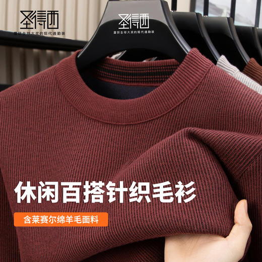 【含绵羊毛】圣得西男士2025秋季新款休闲百搭素雅绒感圆领毛衣 商品图3