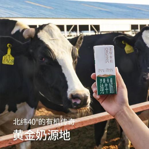 蒙牛圣牧沙漠有机纯牛奶 从不毛之地到沙漠绿洲 只为一杯好牛奶 商品图2