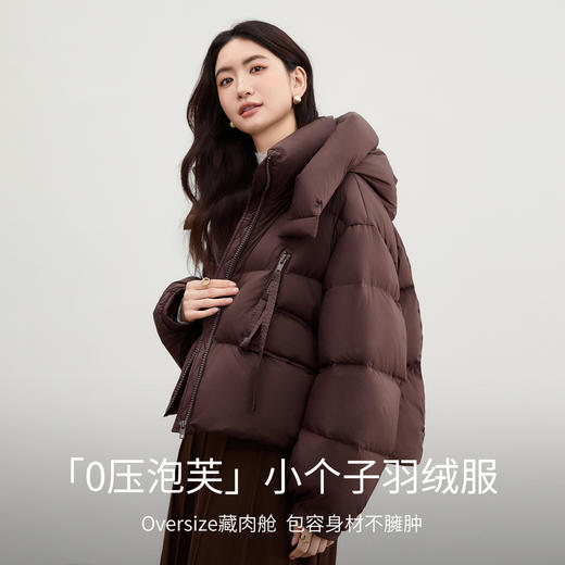 【内购】【90%白鸭绒】小个子通勤高立领连帽拉链蓬松保暖不臃肿短羽绒服-W54YE2035 商品图1