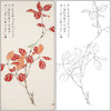 工笔画白描底稿于非闇花鸟《红叶翠鸟》临摹勾线高清打印稿FA33 商品缩略图0