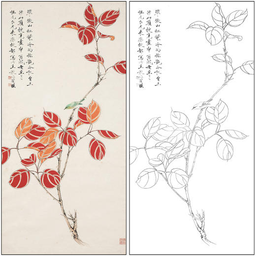 工笔画白描底稿于非闇花鸟《红叶翠鸟》临摹勾线高清打印稿FA33 商品图0