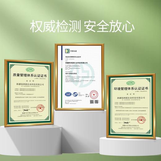 新疆塔城绿洲果实有机红花籽油 多规格压榨一级包邮 商品图2