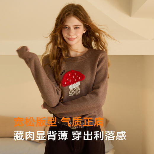 三彩独醒2025冬季新款刺绣毛衣圆领针织衫宽松毛衫套头F 商品图2