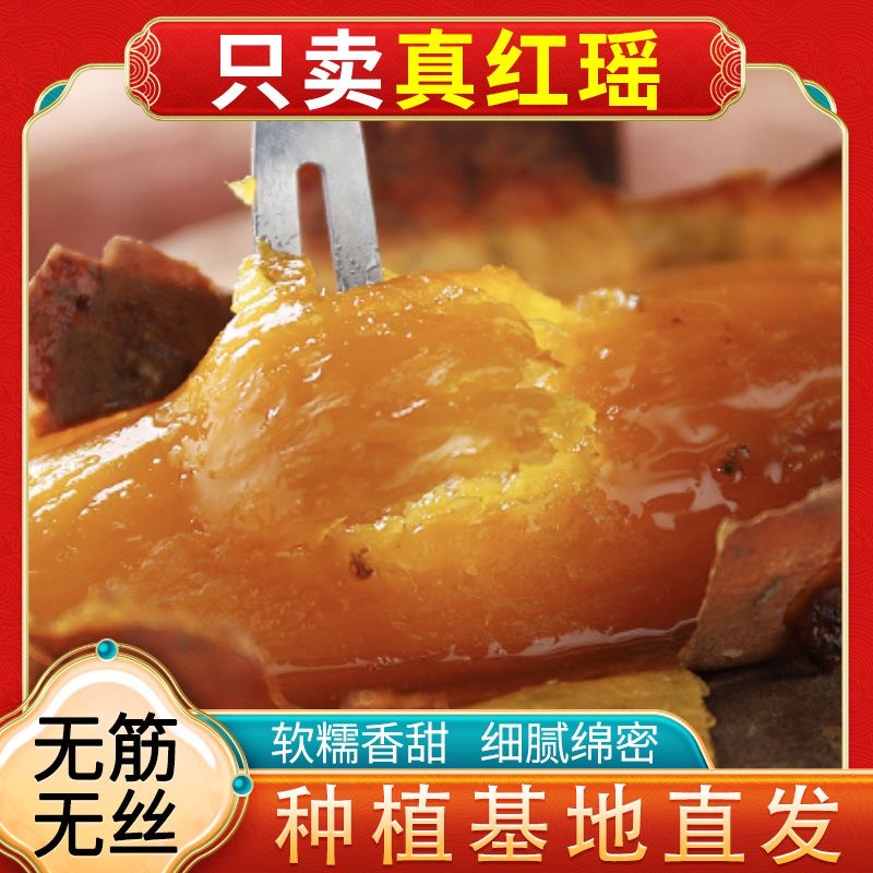 25年宁河红瑶甘薯