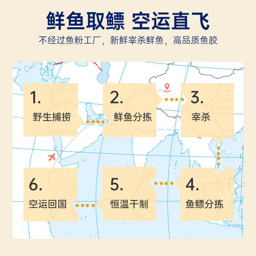 【新品上市】官栈7S黄花鱼胶 干花胶200g 商品图2